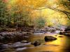 Golden Waters, Great Smoky Mountains National Park